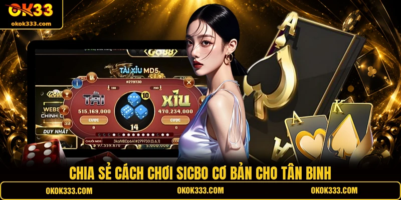 Chia sẻ cách chơi Sicbo cơ bản cho tân binh