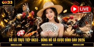 Đá gà trực tiếp ok33 bùng nổ cá cược đỉnh cao 2026