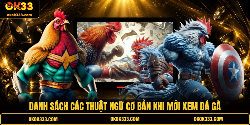 Danh sách các thuật ngữ đá gà cơ bản khi mới xem đá gà