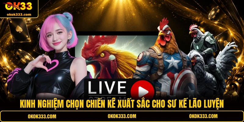 Kinh nghiệm chọn chiến kê chuẩn qua ngoại hình