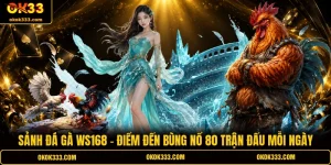 Sảnh đá gà WS168 điểm đến bùng nổ 80 trận đấu mỗi ngày